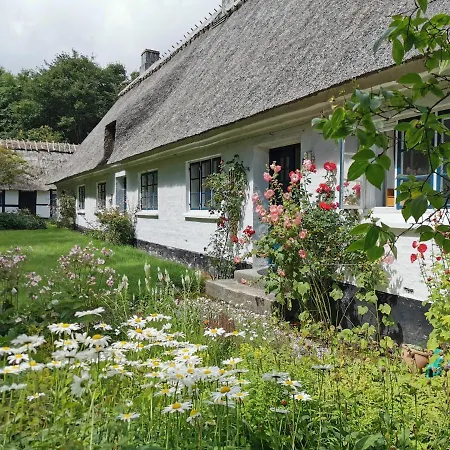 Plantepressen * Faaborg