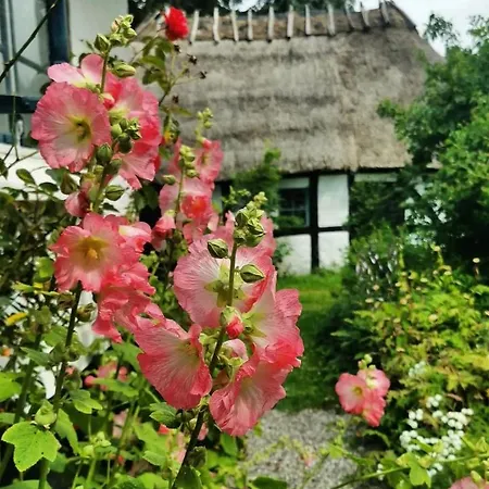 住宿加早餐酒店 Plantepressen